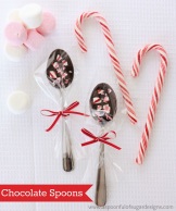 Chocolate+Spoons++++12_jpg